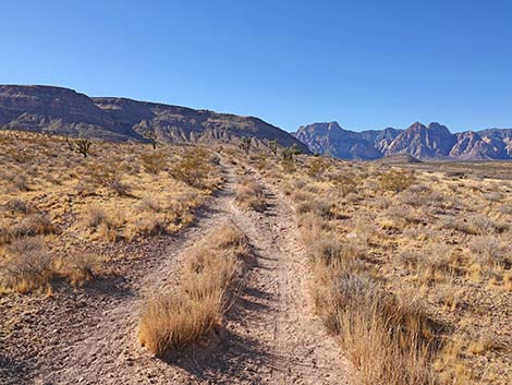 Fire Station Hill Trail