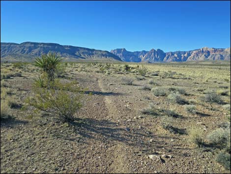 Campground Flats Loop Trail