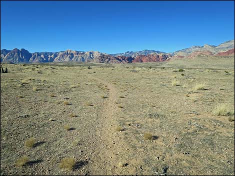 Campground Flats Loop Trail