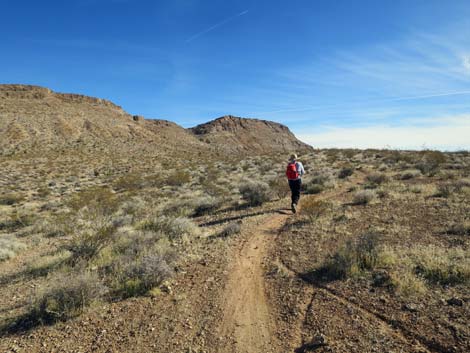 Gun Range Ridge Loop