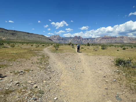 Campground Wash Trail