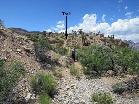 Campground Wash Trail