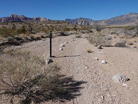 Entrance Station to Calico Basin Trail