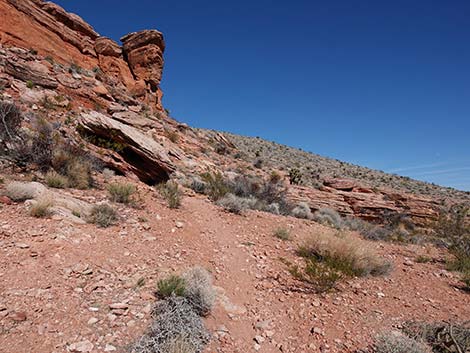 Entrance Station to Calico Basin Trail