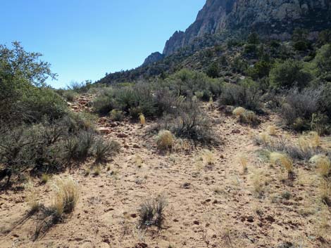 Escarpment Trail