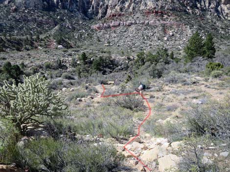 Escarpment Trail