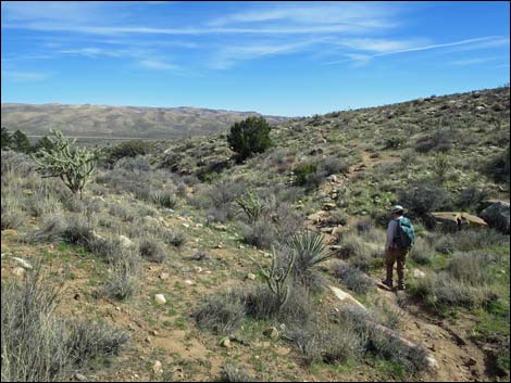 First Creek Canyon