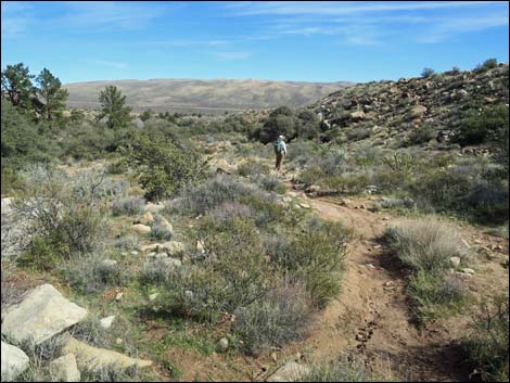 First Creek Canyon