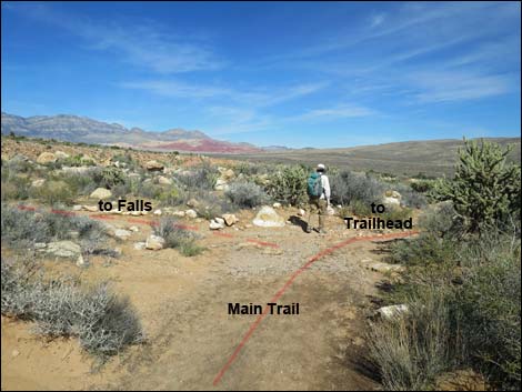 First Creek Canyon