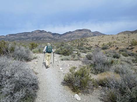 Grand Circle Trail