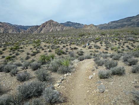 Grand Circle Trail