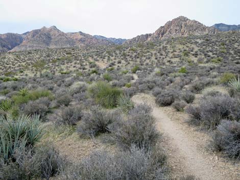 Grand Circle Trail