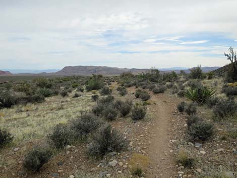 Grand Circle Trail