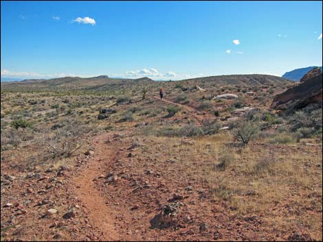 Kraft Mountain Loop