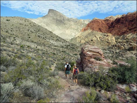 Kraft Mountain Loop