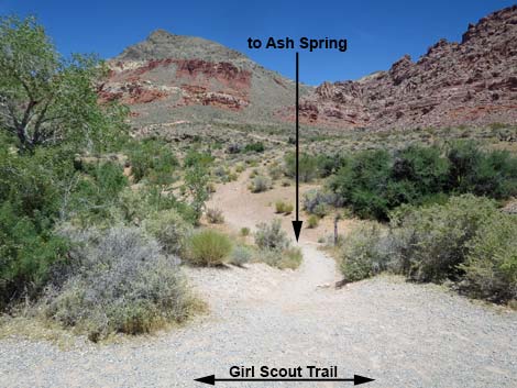 Girl Scout Trail