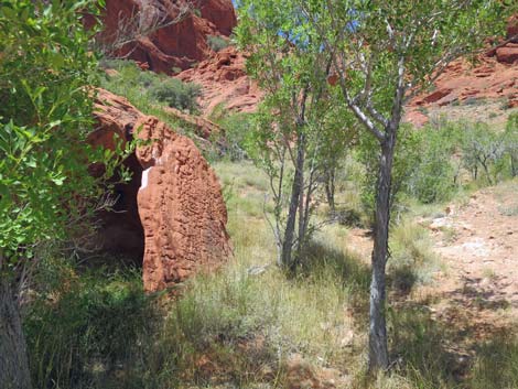 Girl Scout Trail