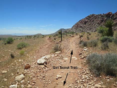 Girl Scout Trail