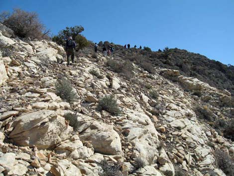 Gray Cap Peak Route