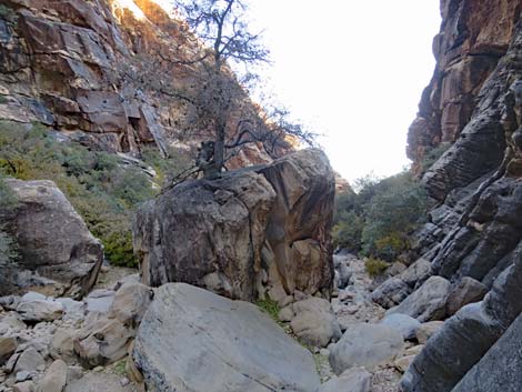 Ice Box Canyon