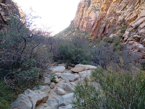 Ice Box Canyon