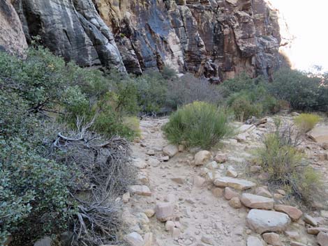 Ice Box Canyon