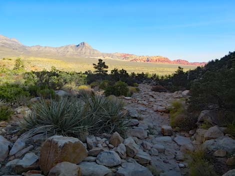 Ice Box Canyon