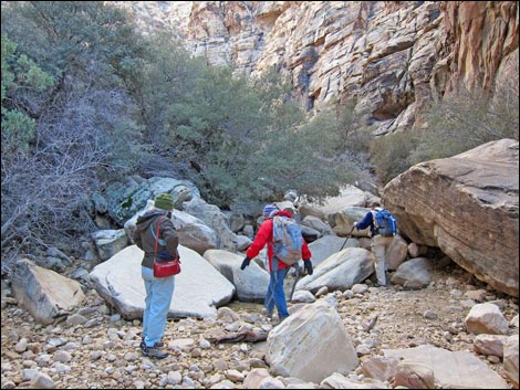 Icebox Canyon