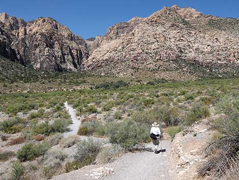 Ice Box Canyon