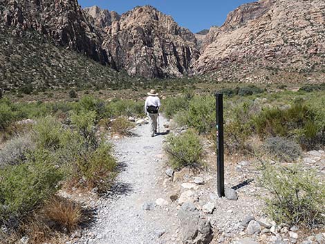 Ice Box Canyon