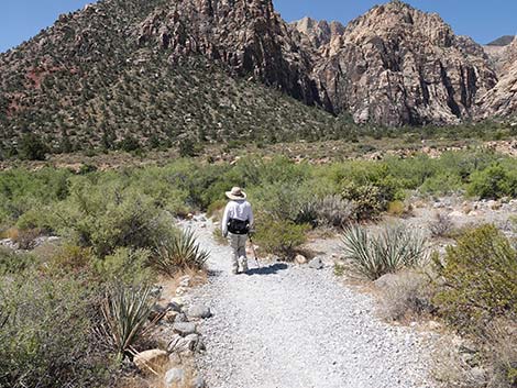 Ice Box Canyon