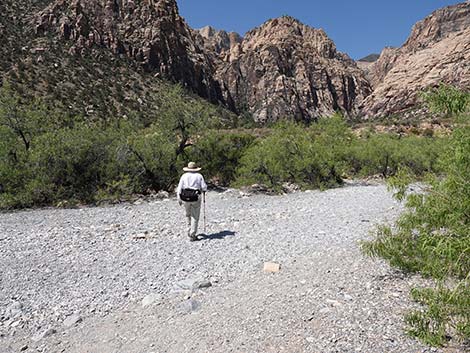 Ice Box Canyon