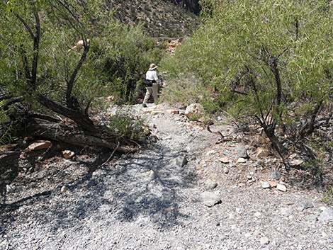 Ice Box Canyon
