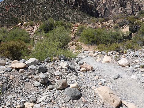 Ice Box Canyon