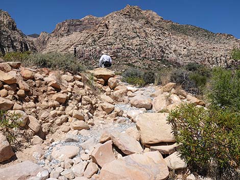Ice Box Canyon