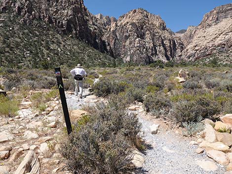 Ice Box Canyon