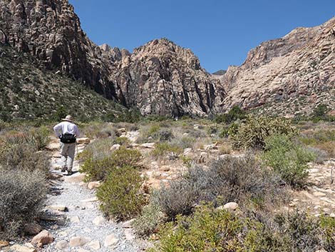 Ice Box Canyon