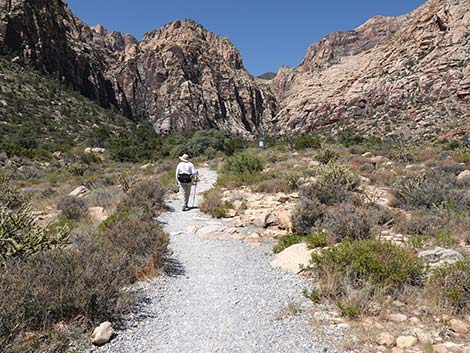 Ice Box Canyon