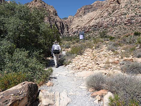 Ice Box Canyon