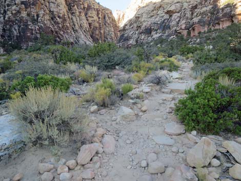 Ice Box Canyon