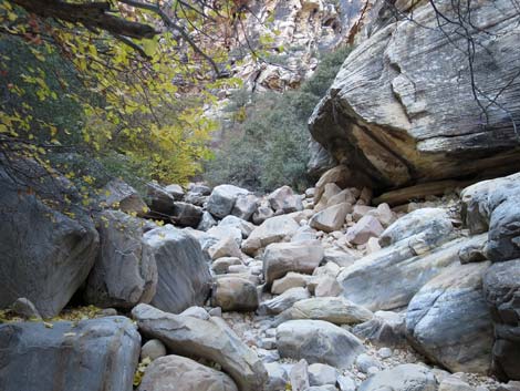 Ice Box Canyon