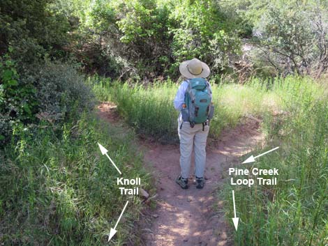 Knoll Trail