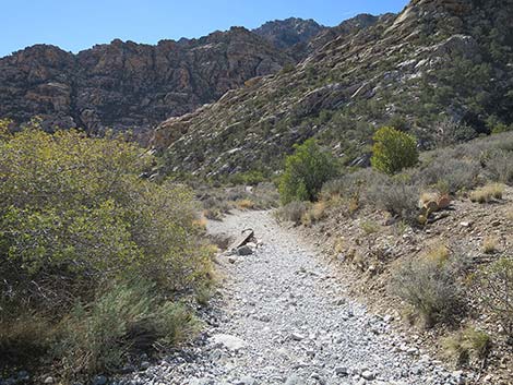 White Rock Loop Trail