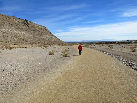 Lone Mountain