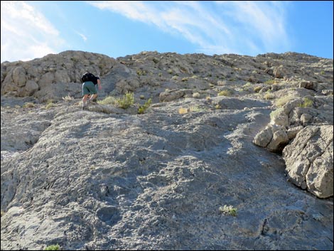 Lone Mountain, East Ridge