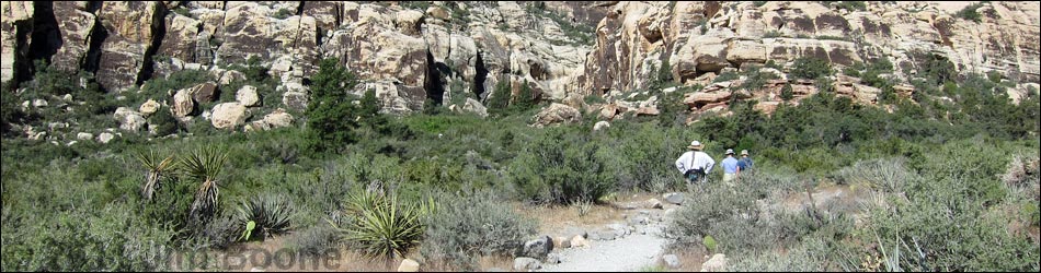 Lower Lost Creek Falls Trail