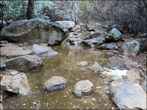 Lower Lost Creek Falls