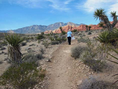 Ride Share Deluxe Loop Trail