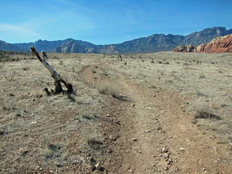 Ride Share Deluxe Loop Trail