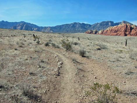 Ride Share Deluxe Loop Trail